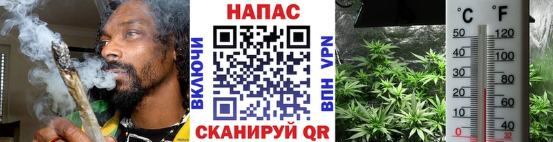 Бошки Шишки VHQ  omg ONION  Севастополь  цена  